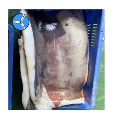 China Wholesale NATURE SANFENG SEAFOOD frozen skin on giant squid fillet for sale