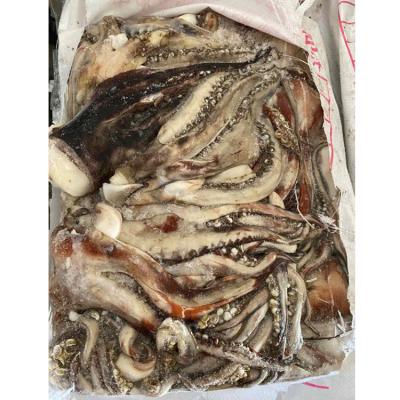 China Nutritious SANFENG SEAFOOD Jumbo Squid Frozen Raw Tentacle for sale