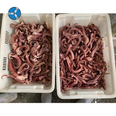 China Nutritious Indian Tentacles Squid Wholesale SEAFOOD SANFENG Frozen Tentacle for sale