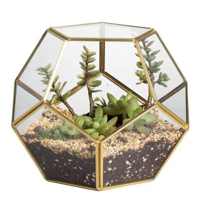 China Modern Home Decor Mini Glass Greenhouse Succulent Planter Container For Flowers for sale