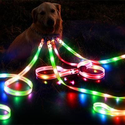 China Viable Wholesale Night Safety New Arrival Night Lighting USB Rechargeable Rechargeable Led Walking Dog Leash for sale