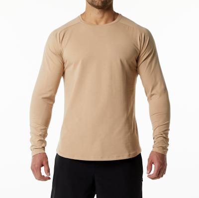 China Loose Spandex Soft White Men's Gym T-shirt Long Sleeve Anti-Wrinkle Cotton T-shirt for sale