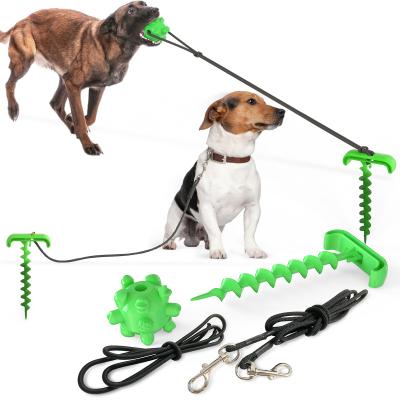 China Hot Selling Rubber Dogs Amazon Hard Chewer Dog Puzzle Toys Dog Leash Set for sale