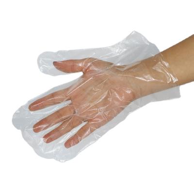 China Factory Price Comfortable PE Disposable Gloves Hand Plastic Transparent Glove For Food Handling for sale