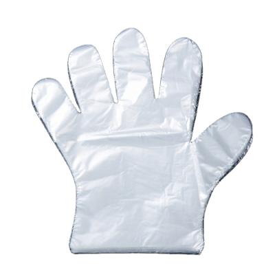 China Food Handling Comfortable Universal PE Kitchen Plastic Disposable Transparent Gloves for sale