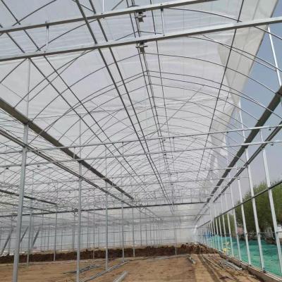 China ECO FRIENDLY Commercial Fast Delivery Plastic Leaf Hydroponic Green House Multi-span Agricultural Greenhouses for sale