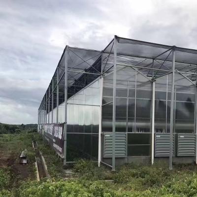 China Reasonable price new ECO-FRIENDLY style large glass agricultural greenhouses for industrial used for sale