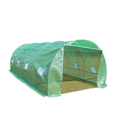 China Easily Assembled Green House Small Poly Tunnel Greenhouse House Used For Plants for sale