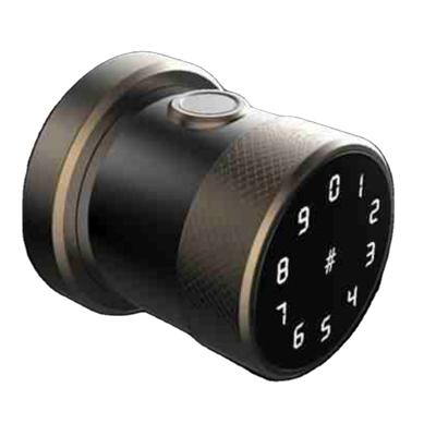 China Modern smart locks for wooden doors with fingerprint and lock body for sale