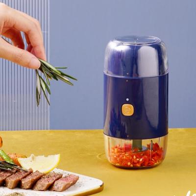 China Best Innovation Easy Clean New Home Mini Electric Meat Grinder for sale