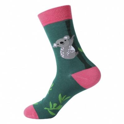 China Antibacterial in stockings koala running unisex custom made cotton animal men women colorful socks for sale