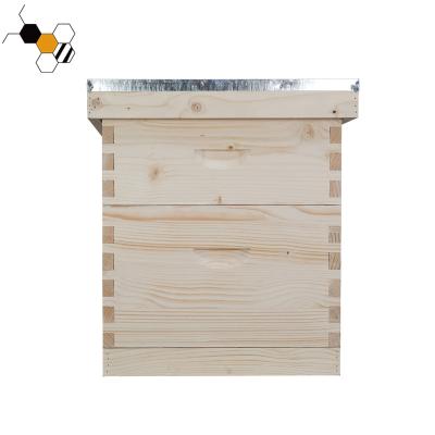 China bee farm beekeeping equipment hive for beebox hive langstroth bee hive for sale