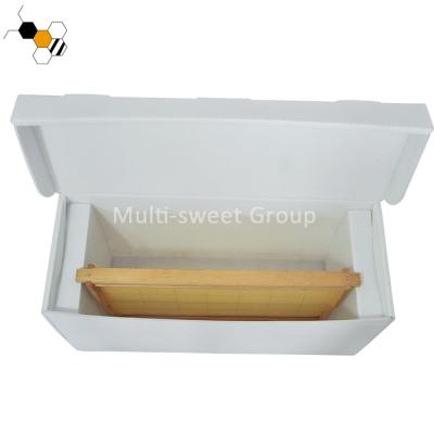 China PP Corrugated Hive 5 Frames Beekeeping PP Plastic Hive Bee Nuc Plastic Box for sale