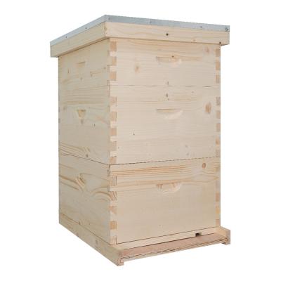 China Farms honey beehive for wooden bees langstroth hive for sale