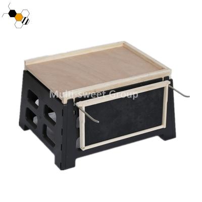 China 2018 Hot Selling Plastic Beekeeping Equipment Hive Stand Hive Stand For Hive for sale