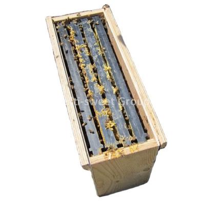 China Farms Beekeeping 5 Views Bee Boxes Wooden Queen Bee Nuc Box for sale