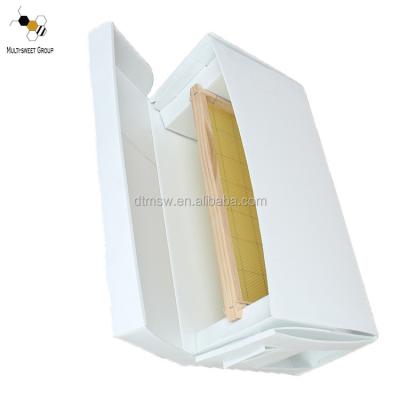 China beekeeping 100% pp plastic corflute nuc bee box, plastic bee hive for bee queens for sale