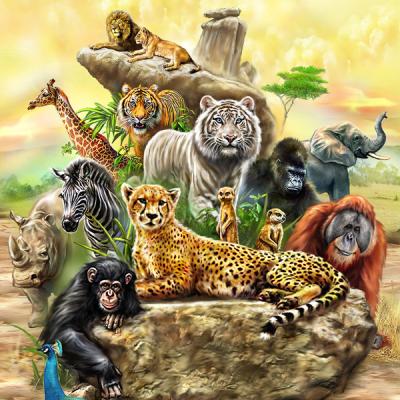 China China hot animal lenticular painting poster pp PET 3d picture for home decoration for sale