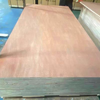 China Modern Triplay De Maderas Tropicales Okoume Bb/cc Bintangor Bb Grade Plywood for sale