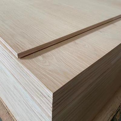 China Modern Veneer Plywood White Oak Red Oak Fancy Natural Veneer Faced Plywood 4*8ft 3.2MM for sale