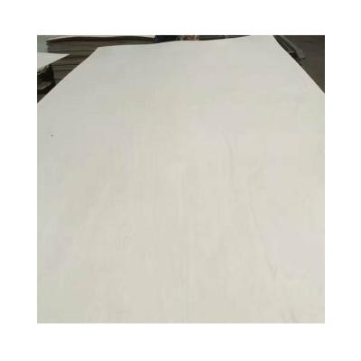 China Modern Chinese Product 3mm 18mm Furniture Film Faced Poplar Plywood Door White Wood Wood for sale