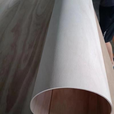 China China Modern High Quality Bending Flexible Wood 12mm 3mm 5mm 9mm Bent Plywood for sale