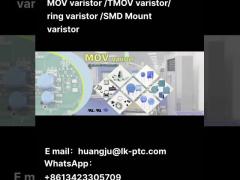 MOV Varistor/TMOV Varistor/T-Type Varistor/Ring Varistor/E-Type Varistor/SMD Varistor