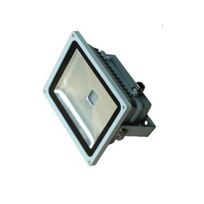 China Die Casting High Lumen Aluminum Gray Housing Ip 65 Flood Light Led Outdoor for sale