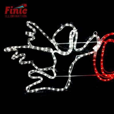 China All Festival/Holiday/Valentine's Day FINIC All Commercial Festival 5LBS 8LBS 120Volts 2D Rope Neon Light Decor Pattern Led Lights for sale