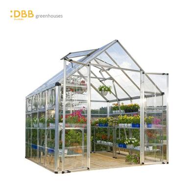 China Small Easily Assembled 8x8 Walk In Greenhouse Raising Indoor Plant Growth Cultivating Roll Up Roof Mini Garden Greenhouse for sale