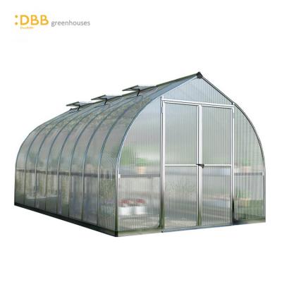 China Easily Assembled Tomato 8x16 Tunnel PVC Coated Outdoor Plant Growth Greenhouse Buying Greenhouse For Sale for sale