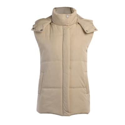 China New Arrival Sustainable Sleeveless Zipper Vest Casual Cotton-Padded Hooded Vest For Women for sale