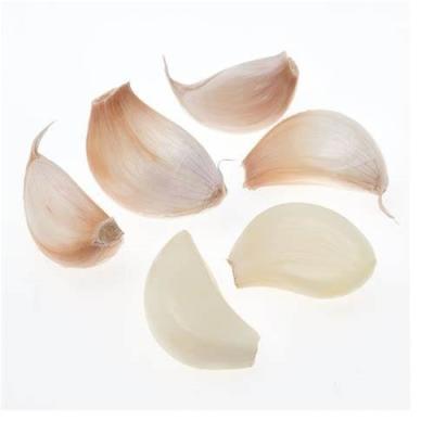 China Top Selling Fresh Hot Organic Vegetable Garlic Porcelain Cheap Organic Custom Pack Peeled Garlic For Export for sale