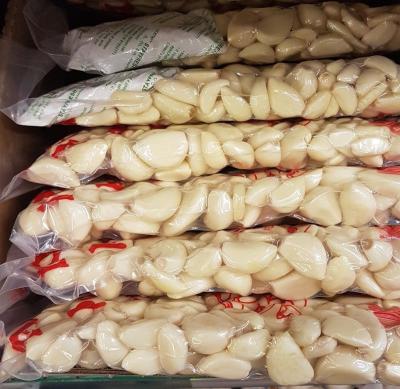 China Cheap price sale china fresh garlic custom without root vacuum garlic vegetable fresh crops peeled for sale