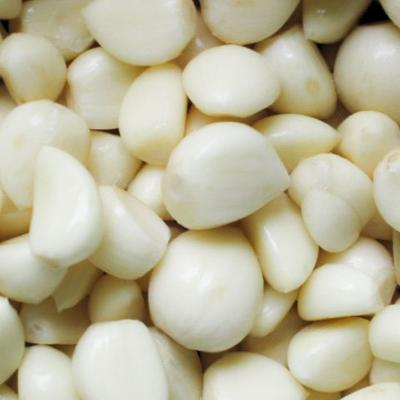 China custom made garlic china competitive price nitrogen package garlic fresh vegetable fresh culture best quality for sale for sale