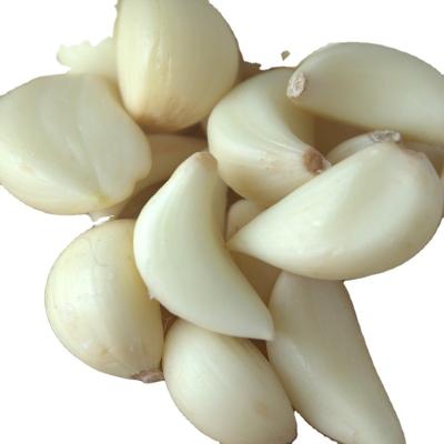 China Fresh natural high quality garlic cultured china garlic fresh vegetable peeled garlic custom price for sale for sale