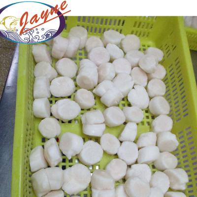 China White and big skinned meat other best price scallop seafood bulk fresh natural shellfish for sale