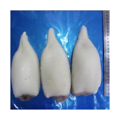 China Direct Frozen Whole Cleaned Squid Nutritious Frozen Whole Squid Bqf High Quantity Factory for sale