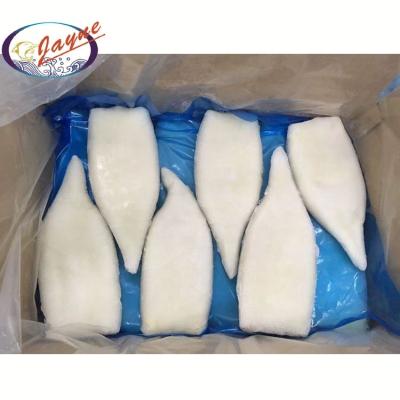 China Organic iqf processing high quality frozen seafood squid tube calamari tube u5 u7 for sale