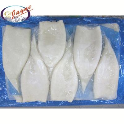 China Hot selling organic factory clean seafood illex iqf frozen squid tube detail for sale