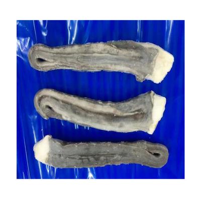 China BQF good quality nutritious frozen cook squid main tentacle, Japanese flying squid tentacle detail for sale