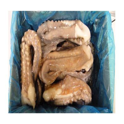 China Good Nutritious Tasty Freezing Process Bqf Giant Squid Frozen Tentacle, Seafood Processing For Frozen Squid Tentacle for sale