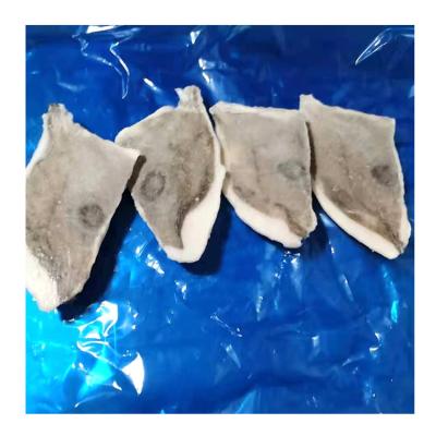 China Nutritious Hot Selling John Dory Fish Fillet High Quality Frozen John Dory Fillets iqf John Dory Seafood Fillets for sale