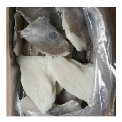 China 2021 new arrival nutritious fillets, china seafood fresh frozen John dory frozen fish fish for sale