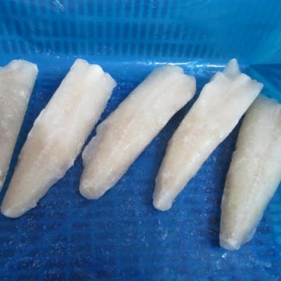 China Block Shape Cheap Anglerfish Tail FROZEN New China Innovative Product for sale