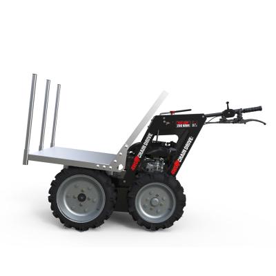 China Farms OEM Factory Austter Dumper 250Kg Customize Type Antigua And Barbuda Market Hot Sale Mini Dumper for sale