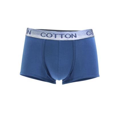 China Antibacterial Custom Sexy Boxer Briefs With Logo Mens Briefs String Sexy Underwear And Boxers for sale