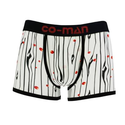 China 2020 Fashion Boxer Shorts Men Antibacterial Boxer Briefs Custom Mens Cotton Underwear Trunks for sale