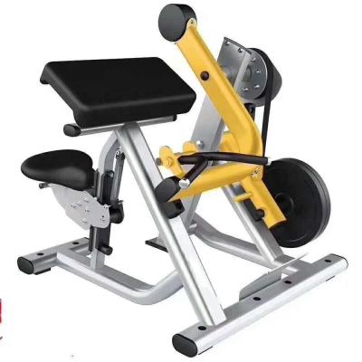 China Fitness Center Commercial Hammer Force Weight Free Plate Gym Equipment Biceps Curl Fitness Machine for sale