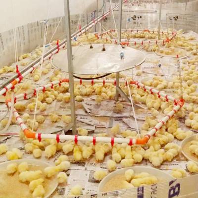 China Chicken Free Feeder Animal Waste Chain Hydroponic Feeding System Egg Collecting Machine for sale